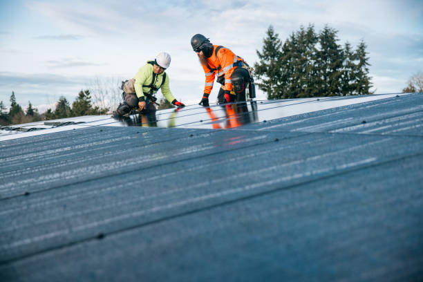 Reliable Metal Roofing contractor in Saint Helena, NE by Roof Repair Smedway